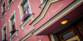 Гостиница Penzion U Papoušků  Йиндржихув Градец